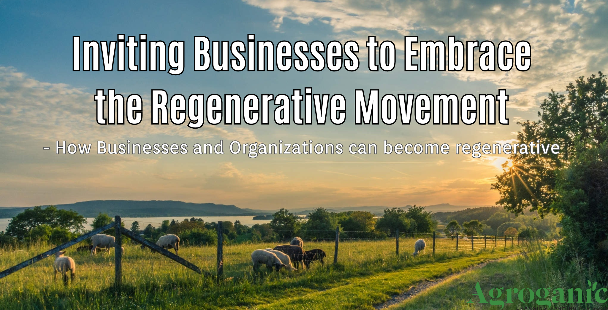 How to become regenerative