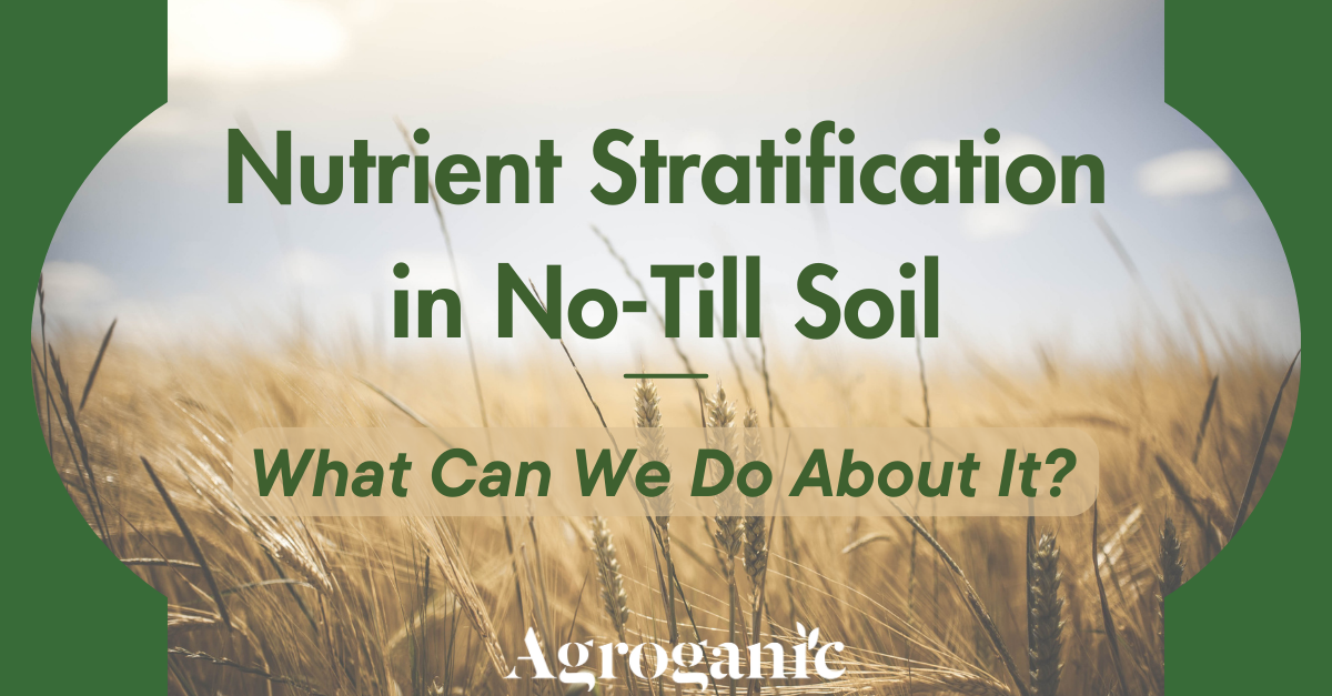 Nutrient stratification in no-till soil