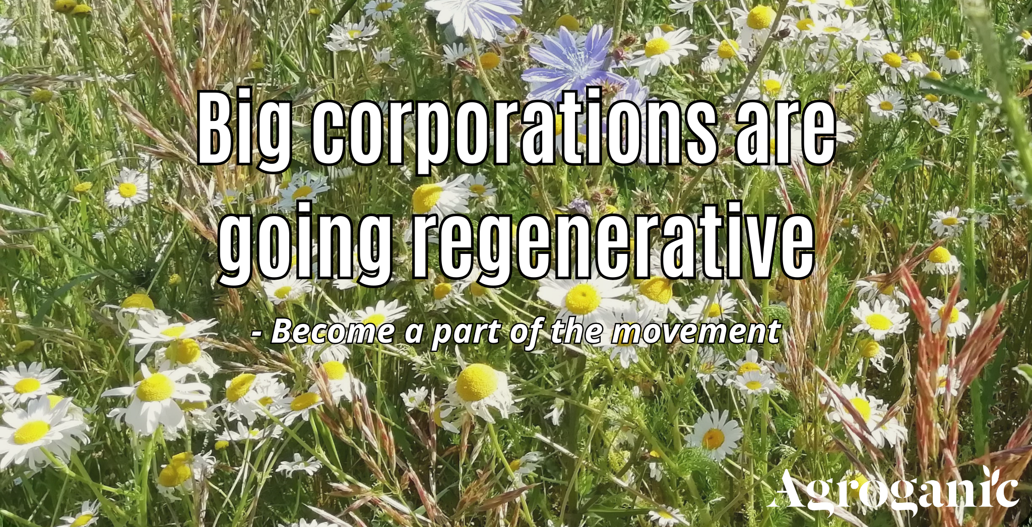 regenerative farming