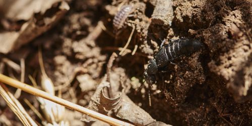 latest news from the fields