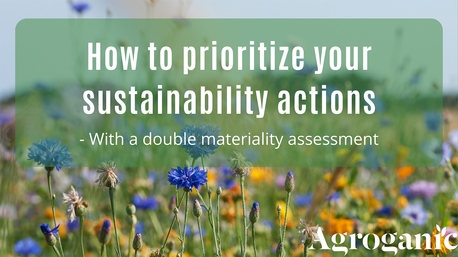 How To Prioritize Your Sustainability Actions 