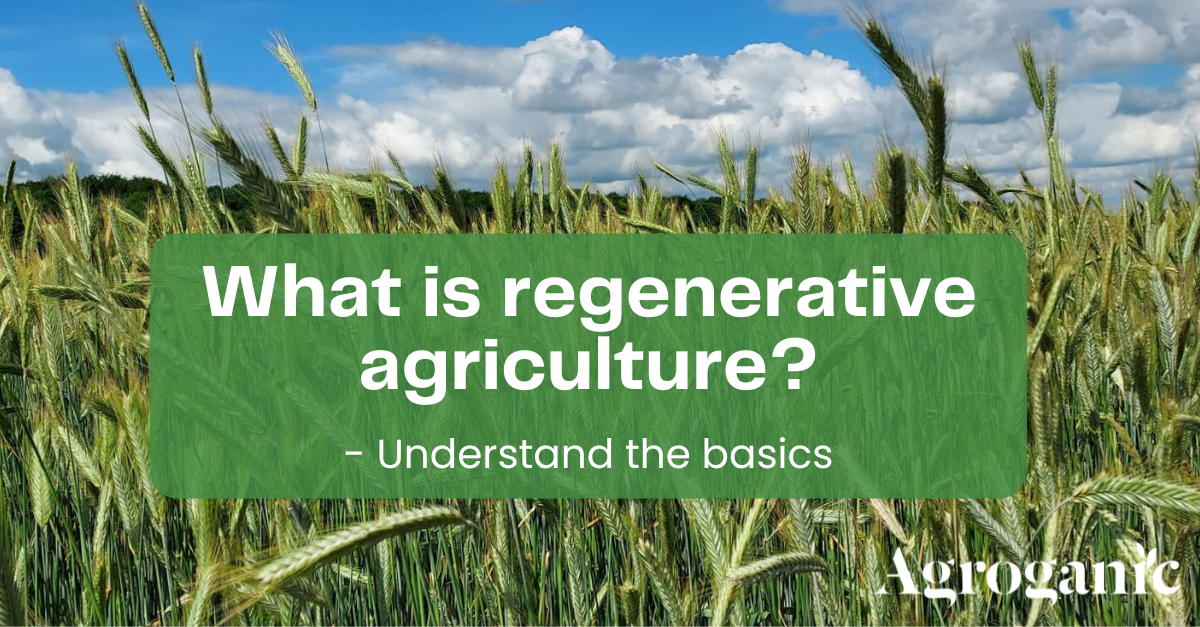 What is regenerative agriculture? Understand the basics