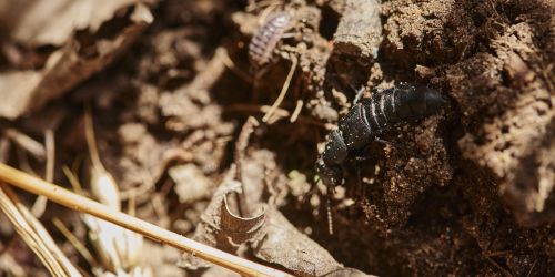 latest news from the fields